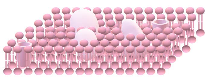 細胞膜のイメージ